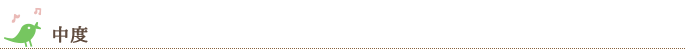 中度