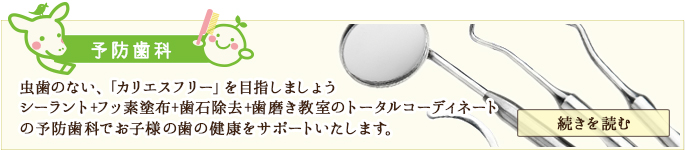 予防歯科　虫歯のない、「カリエス」を目指しましょう　シーラント+フッ素塗布+歯石除去+歯磨き教室のトータルコーディネートの予防歯科でお子様の歯の健康をサポートいたします。続きを読む