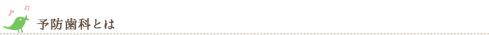 予防歯科とは